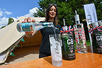The perfect tonic (and gin!)